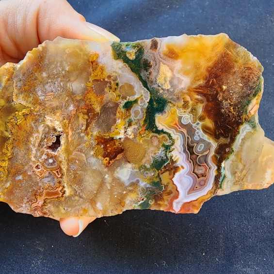 Agatized Jasper, Plume Agate, Sagenite Agate