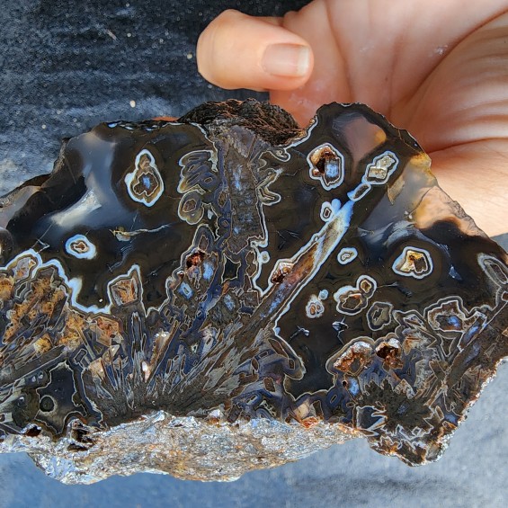 Black Agate Slabs, Stick Agate, Tube Agate, Collectible Rocks,  玛瑙