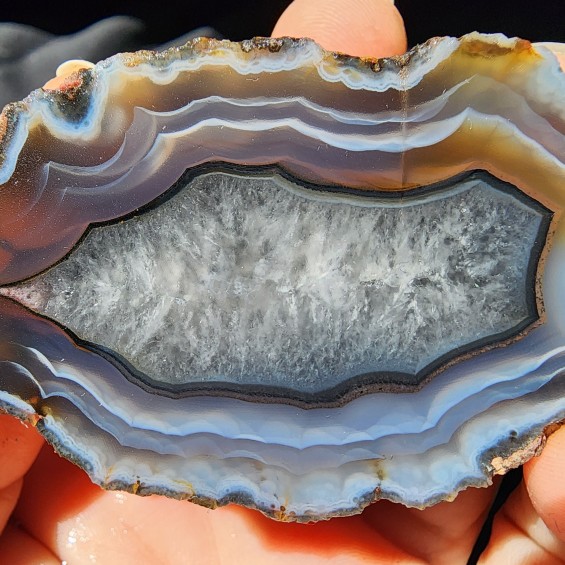 Laguna Agate, Banded Agates, Collectible Rocks, Condor Agate