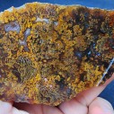 Plume Agate Pair, Moss Agate, Lapidary Rough, Colllectible Rock