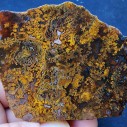 Plume Agate Pair, Moss Agate, Lapidary Rough, Colllectible Rock