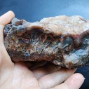 3.6 lbs (1.63 kg) Red Agate, Quartz Agate, Crystal Agate, Blue Agate 石英岩, 宝石細工の岩