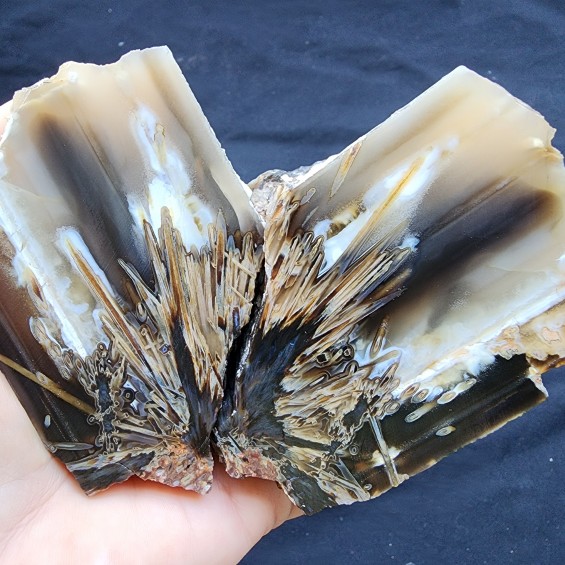 Stick Agate Pair, Collectible Turkish Agate