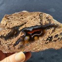 Thunder Egg Agate Pair, Thunderegg Agate Specimen, Agate Gift