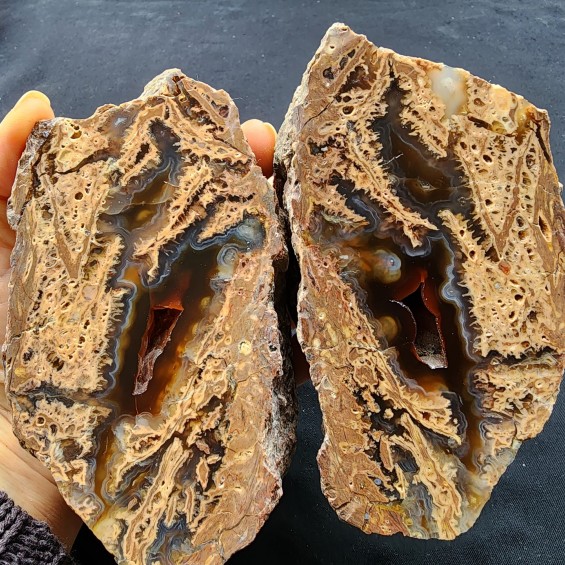 Thunder Egg Agate Pair, Thunderegg Agate Specimen, Agate Gift