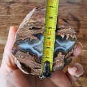 Rhyolite Agate Pair, Quartz Agate, Collectible Rock