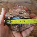 Rhyolite Agate Pair, Quartz Agate, Collectible Rock