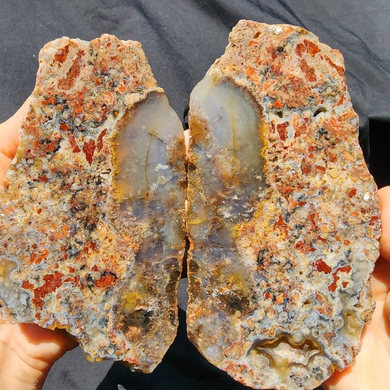 Pudding Agate Pair, Rough Lapidary Agate