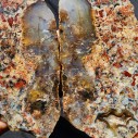 Pudding Agate Pair, Rough Lapidary Agate