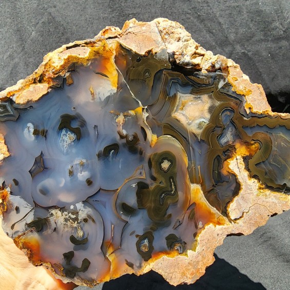 Dark Blue Collectible Thunder Egg Pair, Lapidary Rough Agate