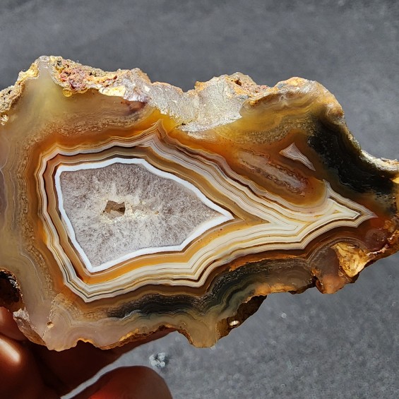 Banded Agate Pair, Collectible Banded Laguna Agate