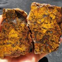 Moss Agate Pair,  Collectible & Lapidary