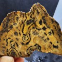 Rare Collectible Opal Pair, Leopard/Cheetah Opal Viewing Stone