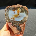 Collectible Agate Pair, Agate for Polishing, Lapidary Rough Rock