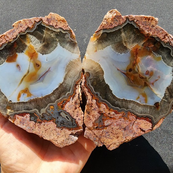 Collectible Agate Pair, Agate for Polishing, Lapidary Rough Rock