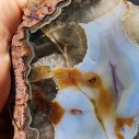 Collectible Agate Pair, Agate for Polishing, Lapidary Rough Rock