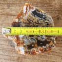 Collectible Agate Slabs, Agate Pair, Lapidary Rough