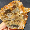 Collectible Agate Slabs, Agate Pair, Lapidary Rough