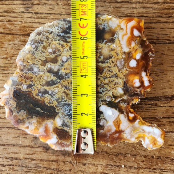 Collectible Agate Slabs, Agate Pair, Lapidary Rough