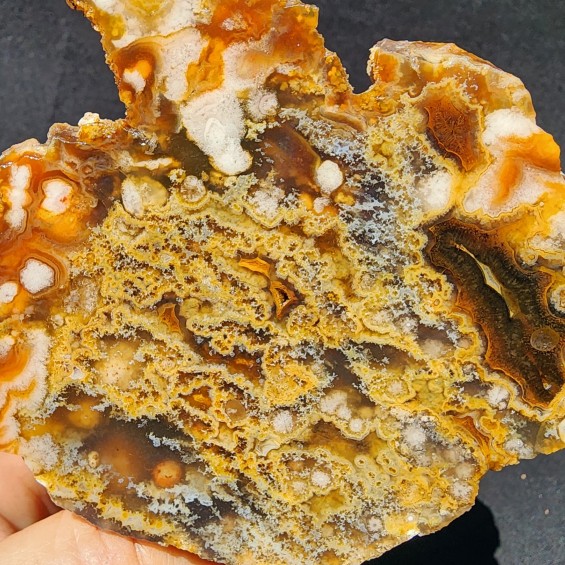 Collectible Agate Slabs, Agate Pair, Lapidary Rough